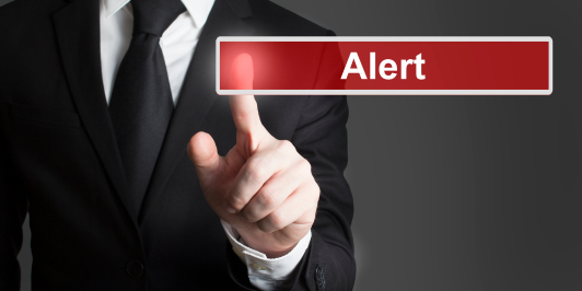 business income red flags
